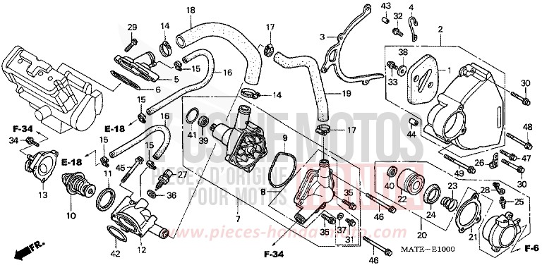 WATER PUMP for Super Blackbird ACCURATE SILVER METALLIC (NH146E) from 2005